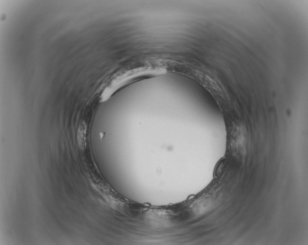 X0000087690332200705181801