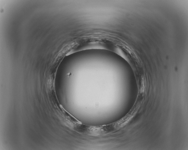 X0000087690333200705181801