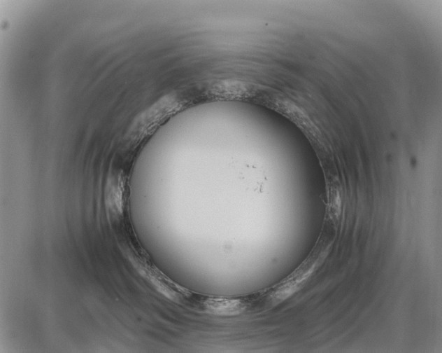 X0000087690334200705181801