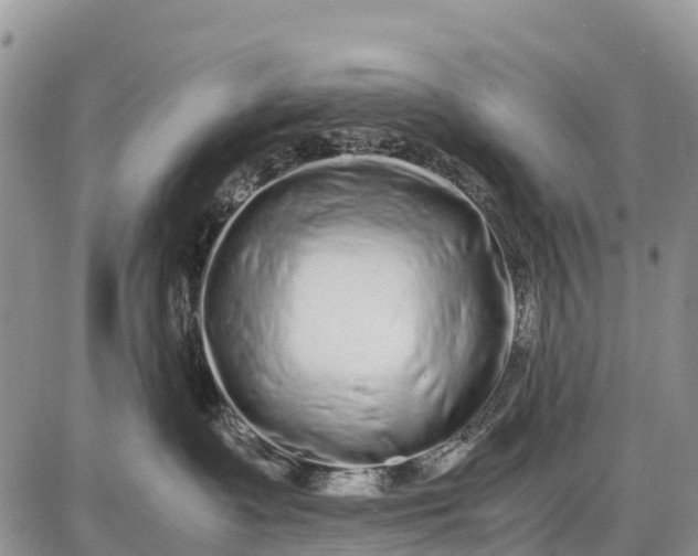 X0000087690335200705181801