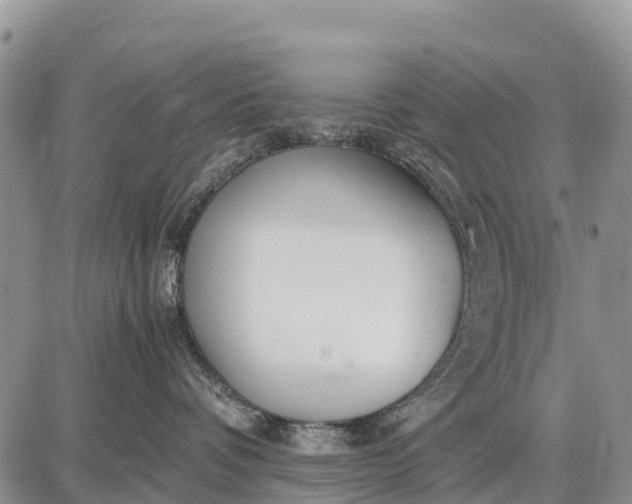 X0000087690336200705181801