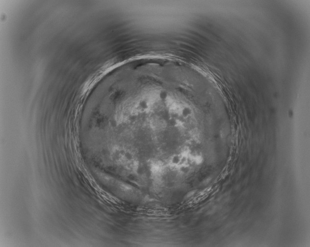 X0000087690337200705181800