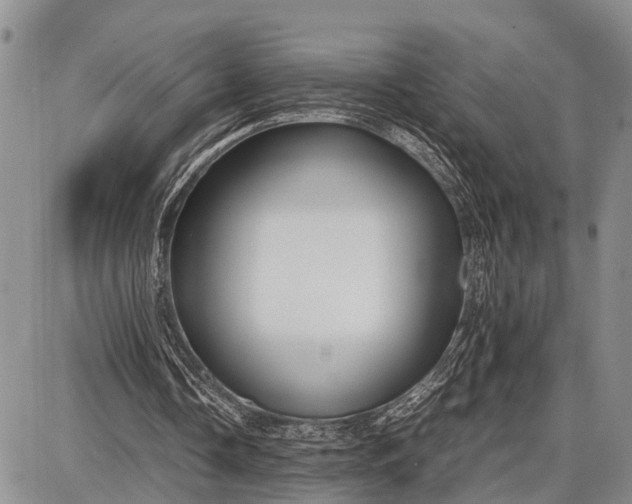 X0000087690338200705181800