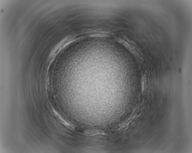 X0000087690339200705181800