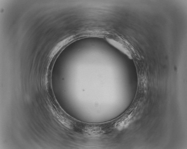 X0000087690340200705181800