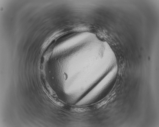 X0000087690341200705181800