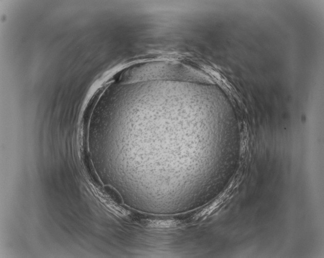 X0000087690342200705181800