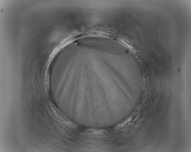 X0000087690343200705181800