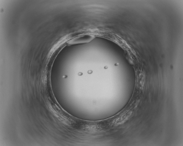 X0000087690344200705181800