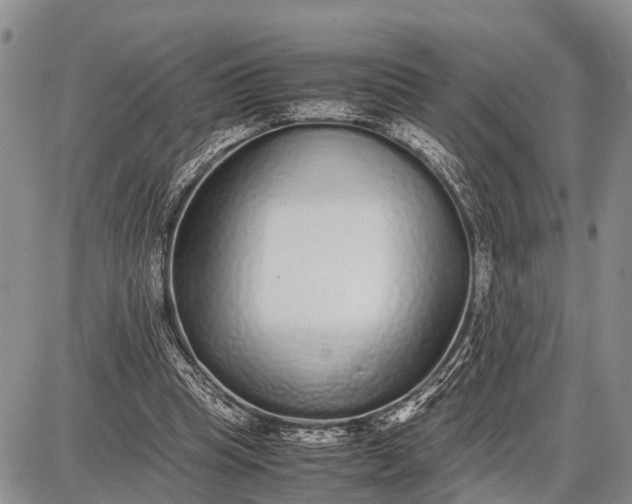 X0000087690345200705181800