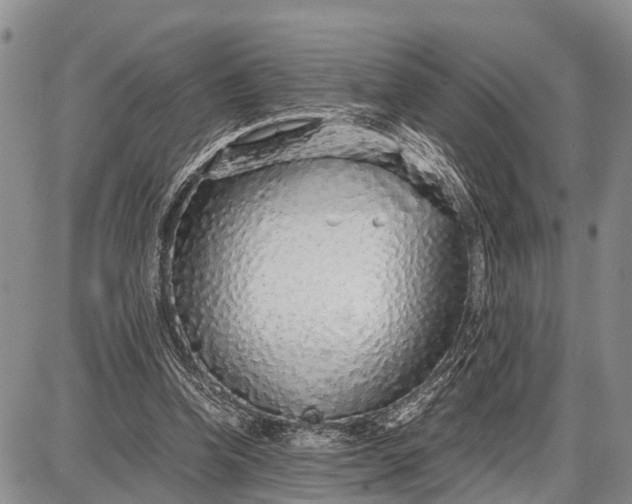 X0000087690346200705181800