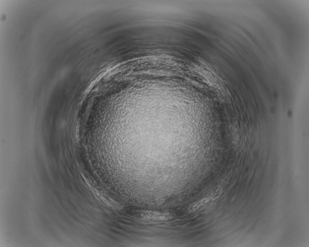 X0000087690347200705181800