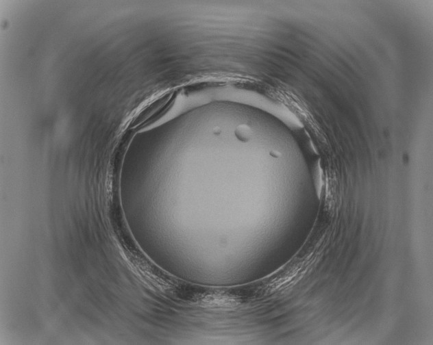 X0000087690348200705181800