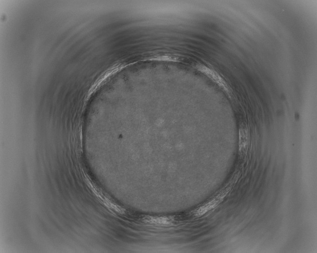 X0000087690349200705181800