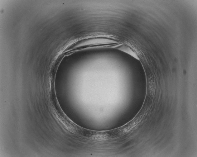 X0000087690350200705181800