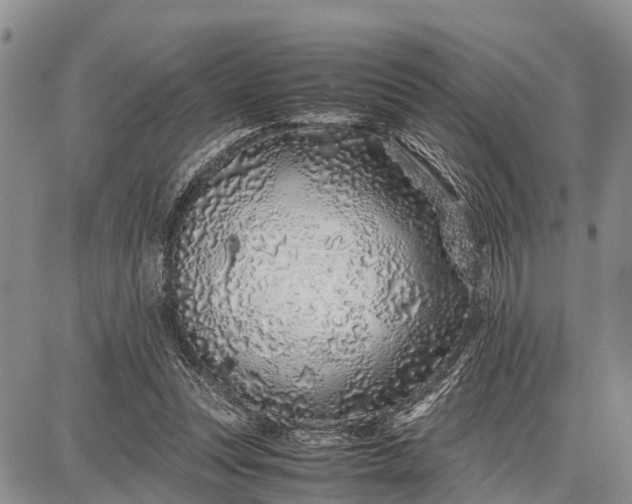 X0000087690351200705181800