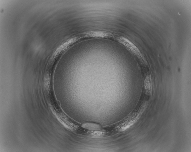 X0000087690352200705181800