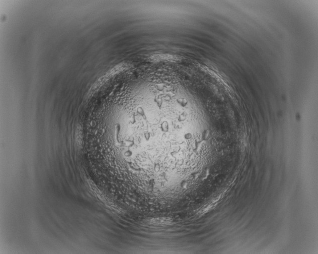 X0000087690353200705181800