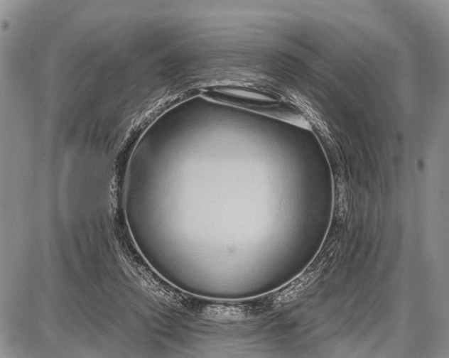 X0000087690354200705181800