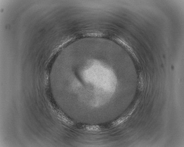 X0000087690355200705181800