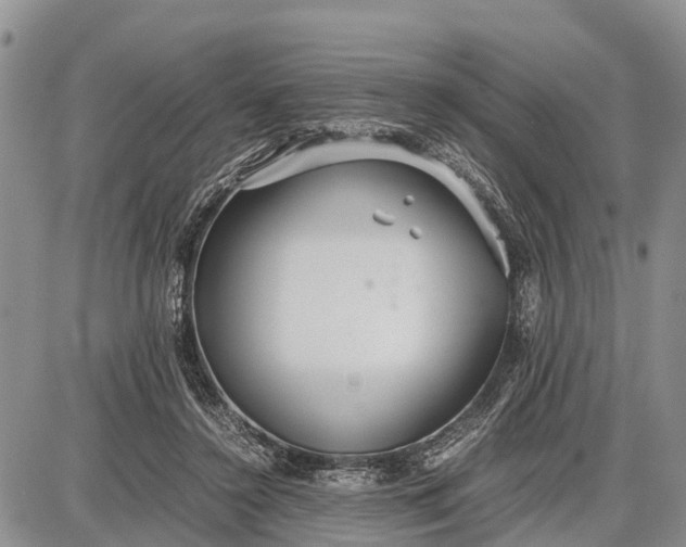 X0000087690356200705181800