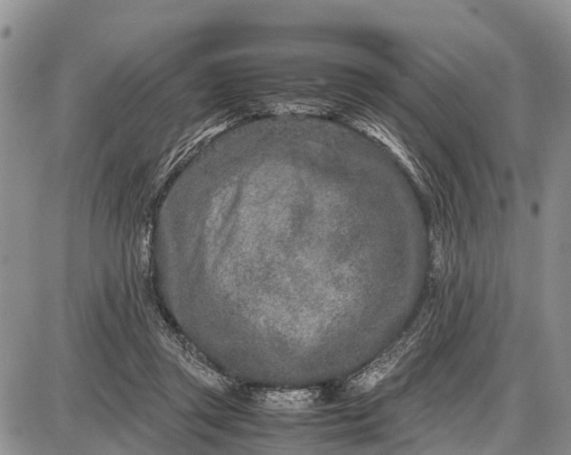 X0000087690357200705181800