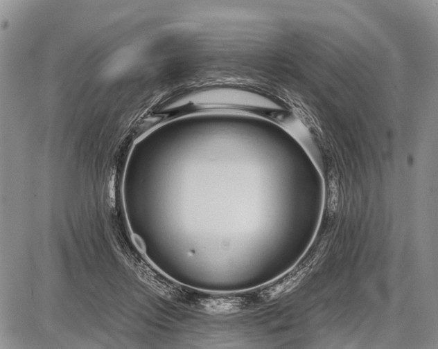 X0000087690358200705181800