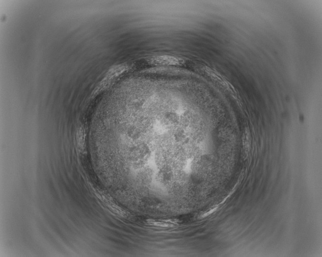 X0000087690359200705181800