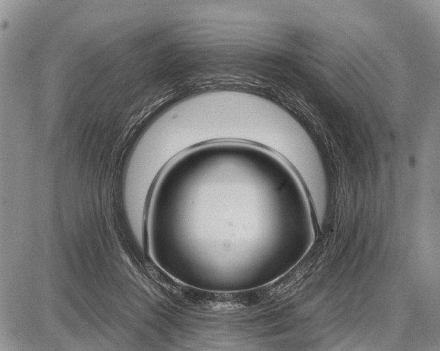 X0000087690360200705181800