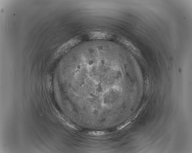 X0000087690361200705181800