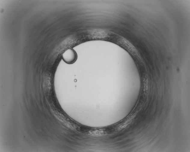 X0000087690362200705181800