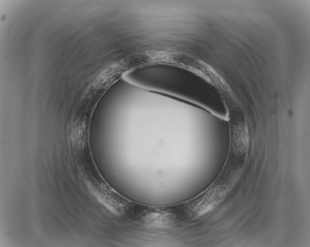 X0000087690364200705181800