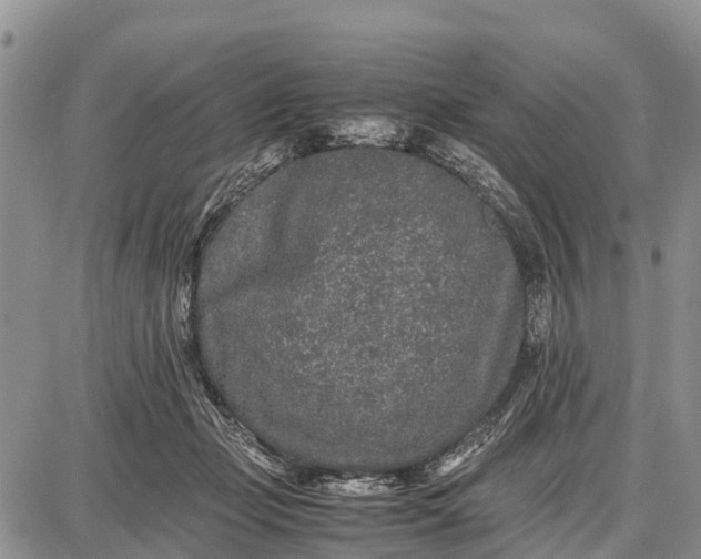 X0000087690365200705181800