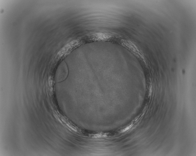 X0000087690366200705181800