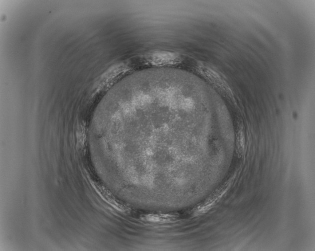 X0000087690367200705181800