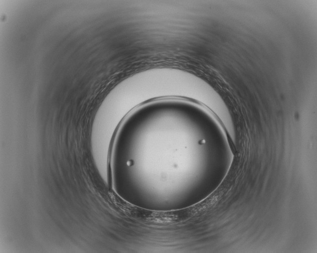 X0000087690368200705181800