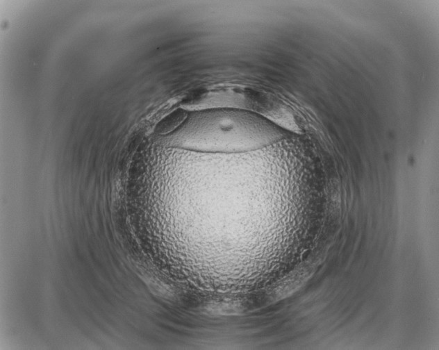 X0000087690369200705181800