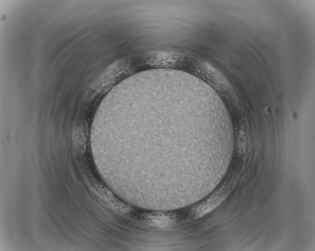 X0000087690370200705181800