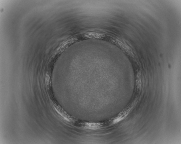 X0000087690371200705181800