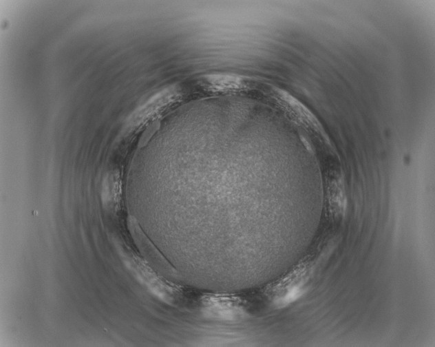 X0000087690372200705181800