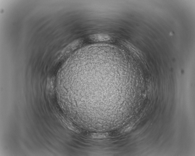 X0000087690373200705181800