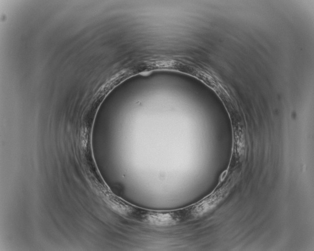 X0000087690374200705181801