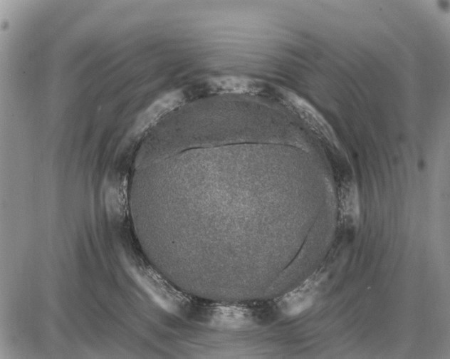 X0000087690376200705181801