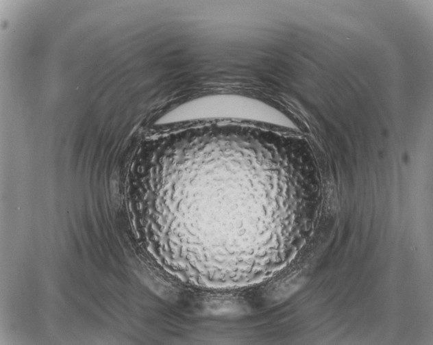 X0000087690377200705181801