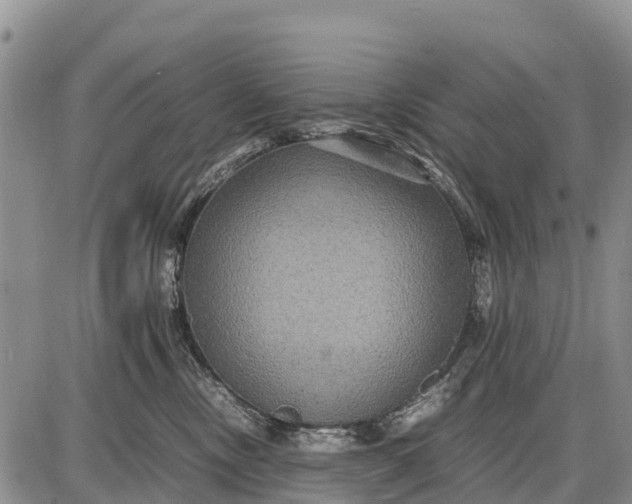 X0000087690378200705181801