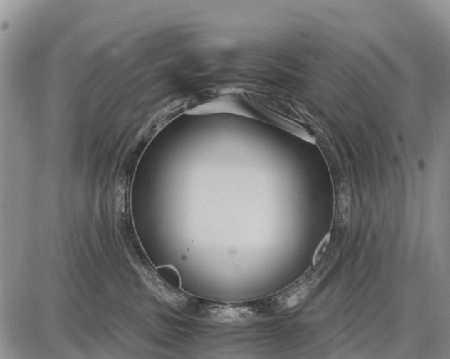 X0000087690379200705181801