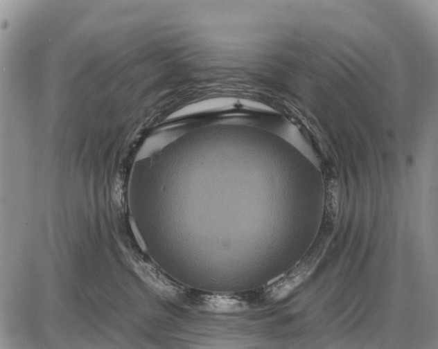 X0000087690380200705181801