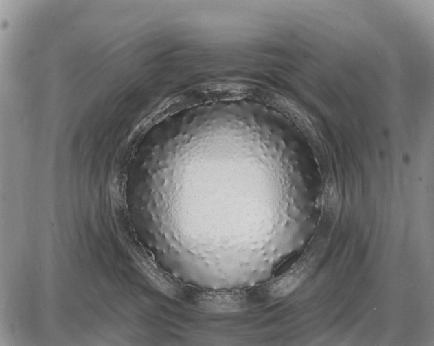 X0000087690381200705181801