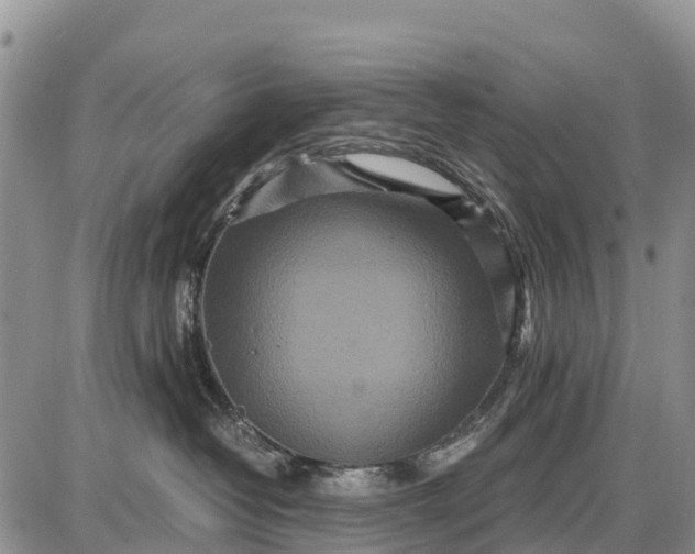 X0000087690382200705181801