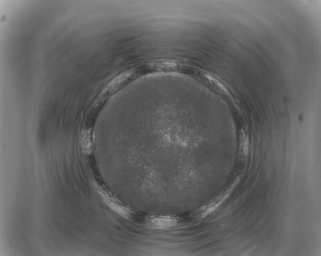 X0000087690383200705181801